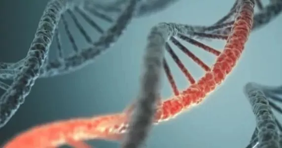 An improved method to produce clinical scale natural killer cells from human IPSC cell