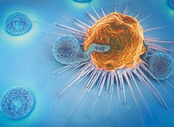Clinical-Scale Derivation of Natural Killer Cells From